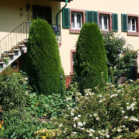 Dani'S Ferienwohnung Freiamt Exteriér fotografie