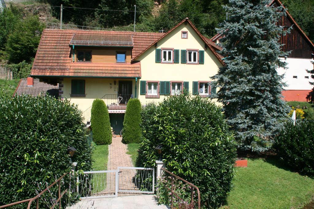 Dani'S Ferienwohnung Freiamt Exteriér fotografie