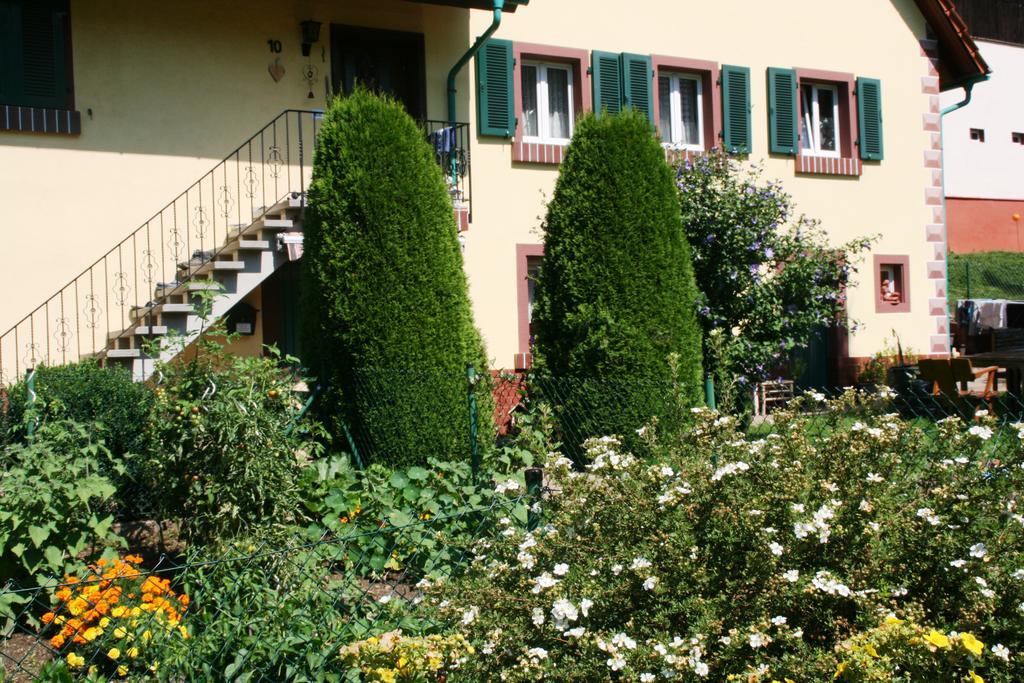 Dani'S Ferienwohnung Freiamt Exteriér fotografie
